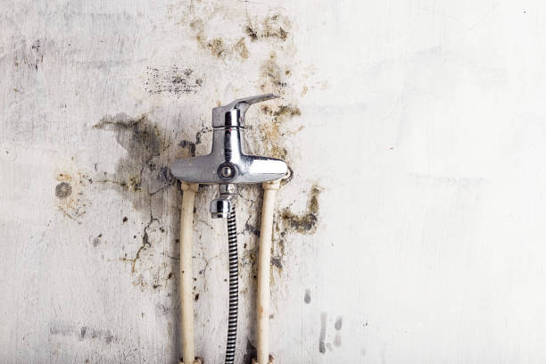 Best Mold Testing  in Atglen, PA